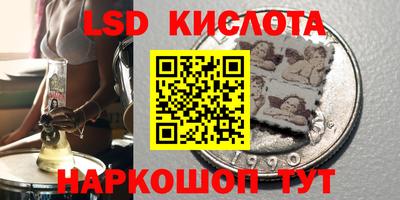 соль ск Бердск
